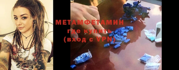 ПСИЛОЦИБИНОВЫЕ ГРИБЫ Ельня