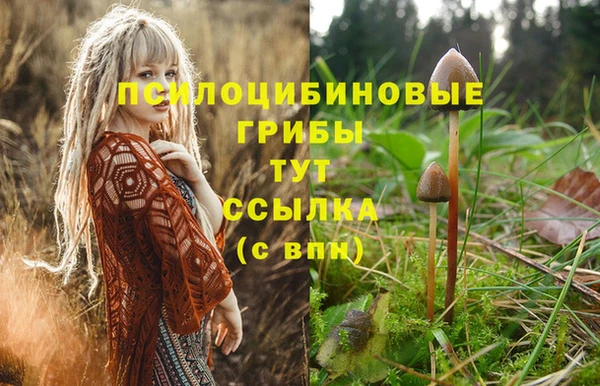 mdpv Зерноград